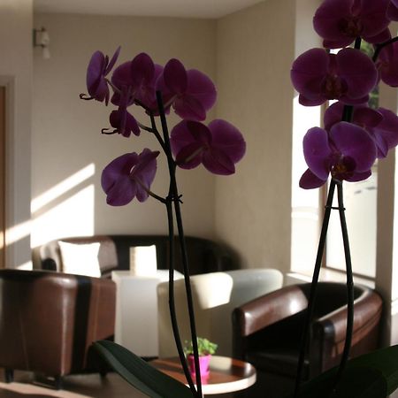 Hotel Bel Horizon แซงต์-เชลี-ดัปเชร์ ภายนอก รูปภาพ
